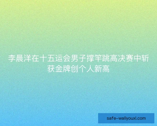 李晨洋在十五运会男子撑竿跳高决赛中斩获金牌创个人新高 李晨洋在十五运会男子撑竿跳高决赛中斩获金牌创个人新高